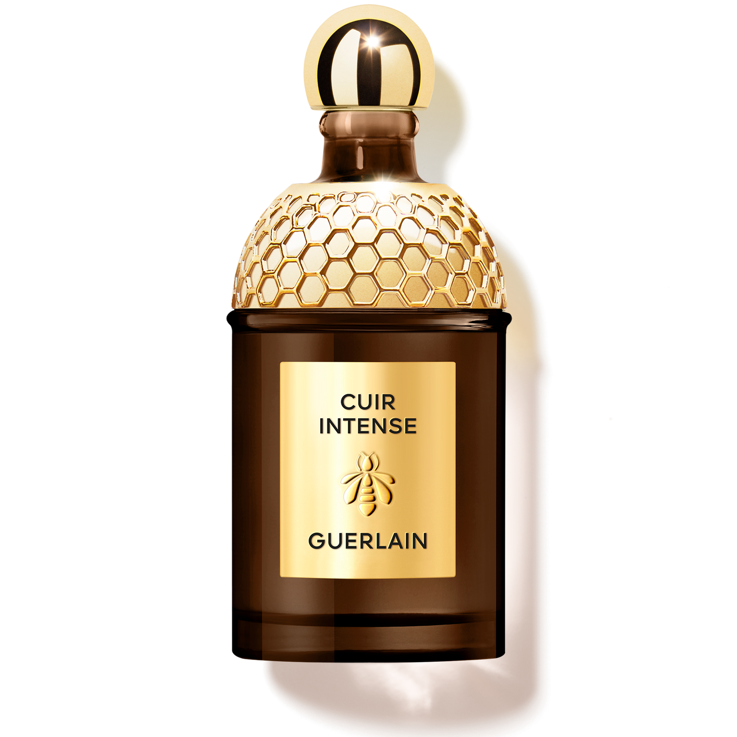 Absolus Allegoria Cuir Intense