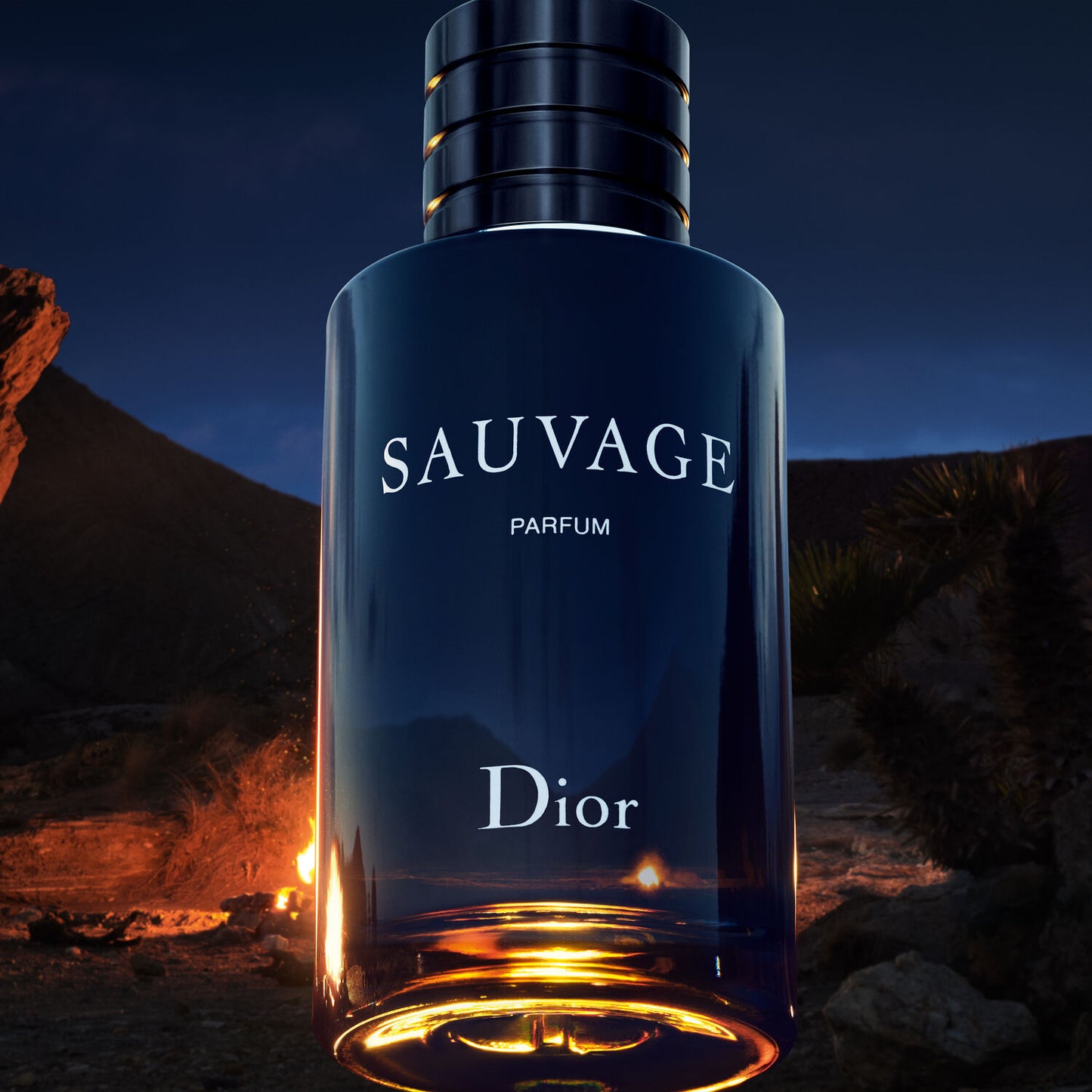 Sauvage Parfum