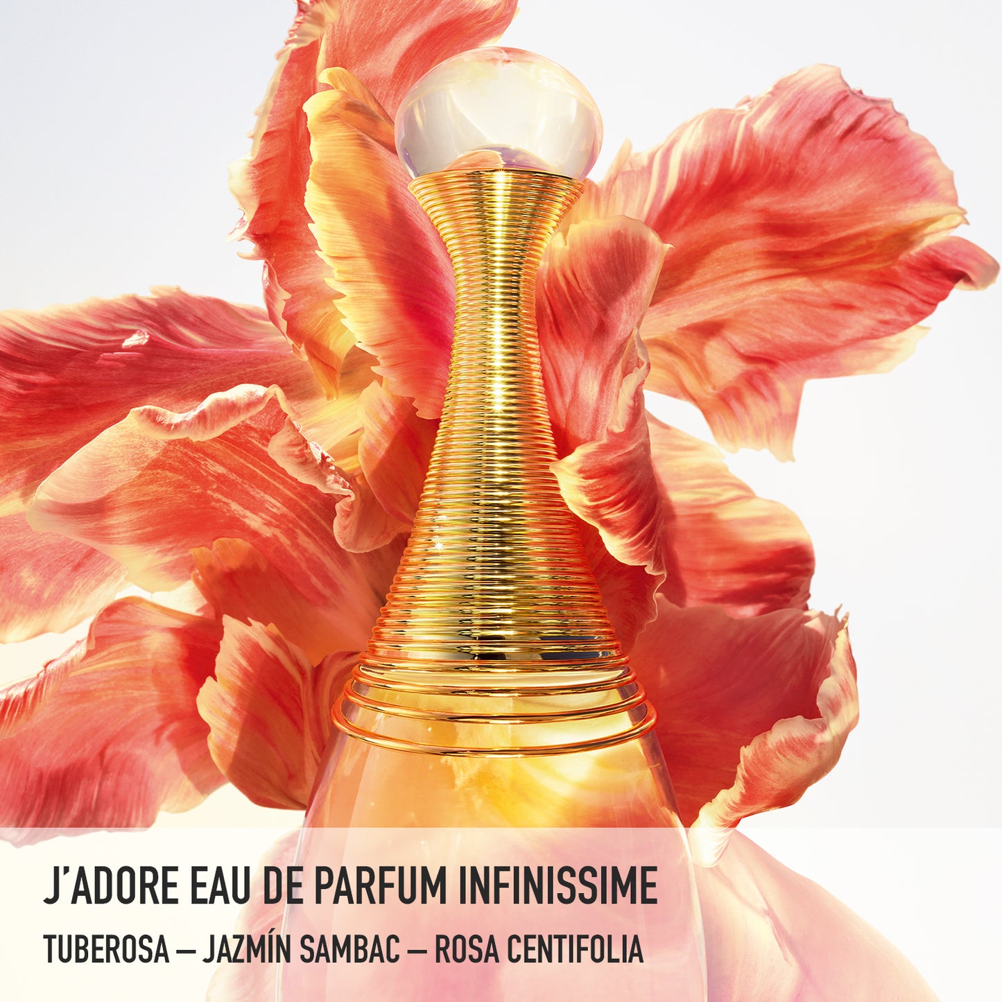 J'adore Infinissime - Perfumería First Bolivia