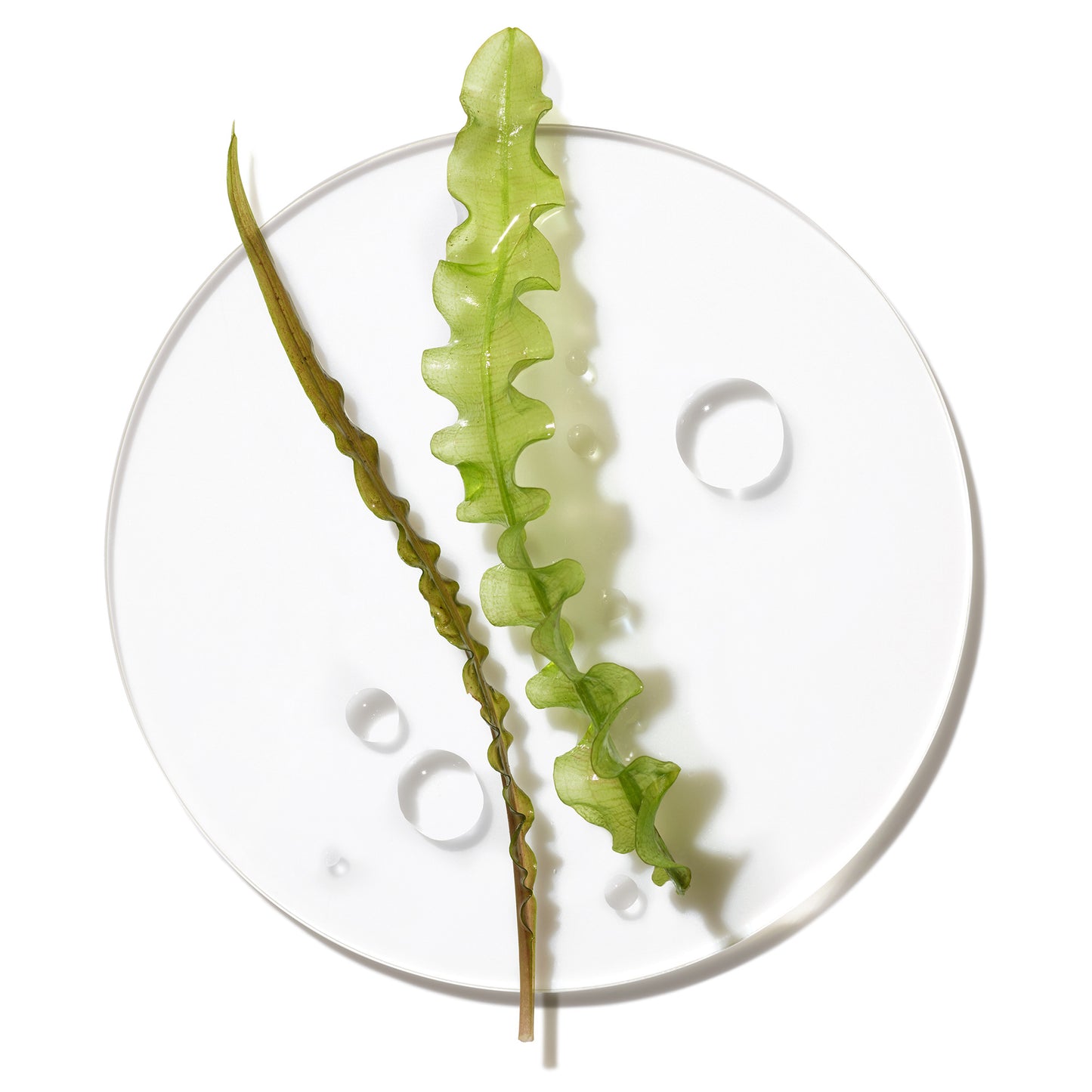 Clinique Base de maquillaje Stay Matte™ Libre de acei