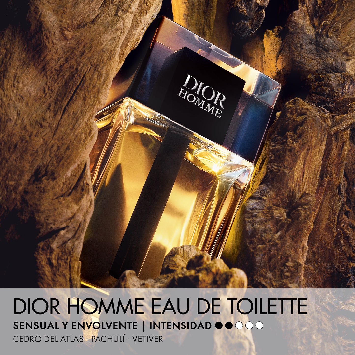 Cofre Dior Homme EdT