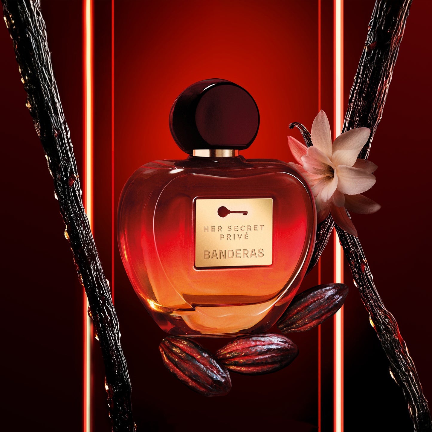 Her Secret Prive