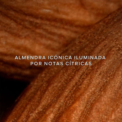 L'Homme Ideal - Perfumería First Bolivia