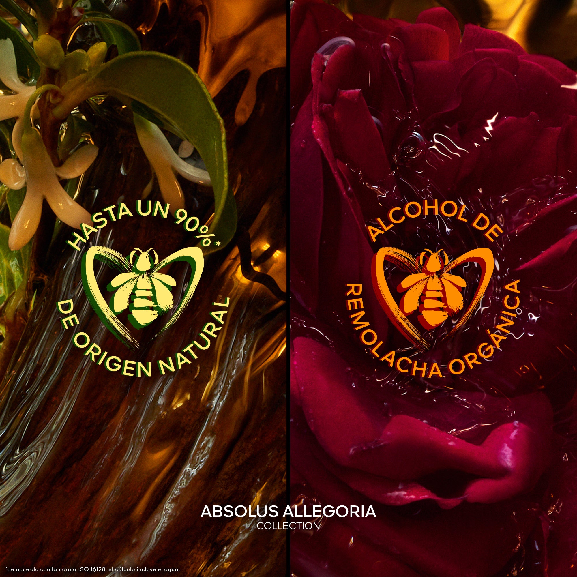 Absolus Allegoria Ambre Samar