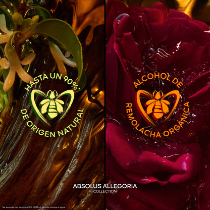 Absolus Allegoria Ambre Samar