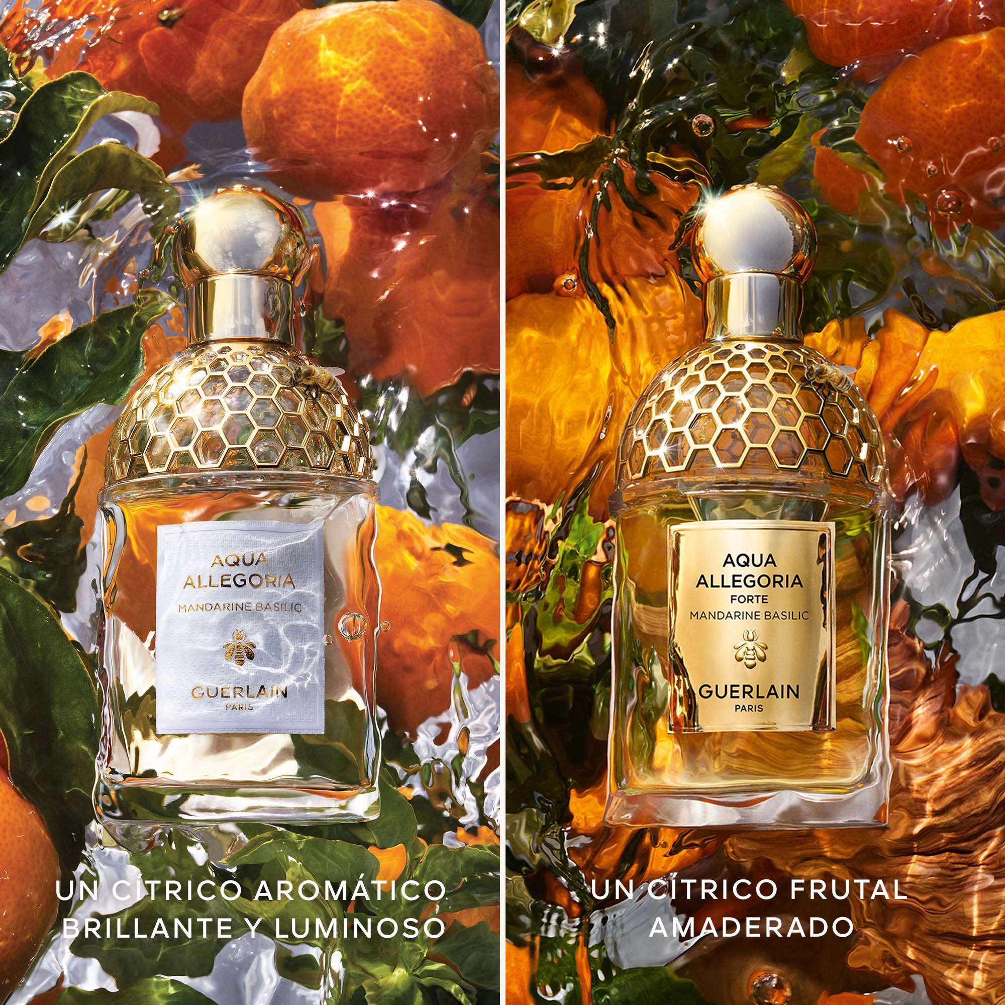 Aqua Allegoria Mandarine Basilic Forte