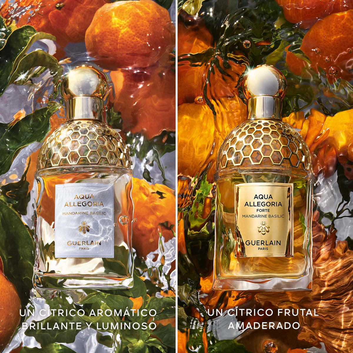 Aqua Allegoria Mandarine Basilic Forte