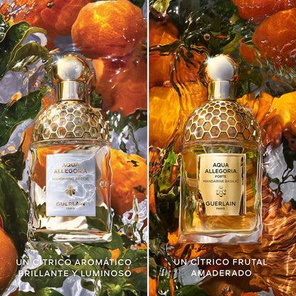 Aqua Allegoria Mandarine Basilic Forte