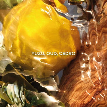Aqua Allegoria Forte Oud Yuzu - Perfumería First Bolivia