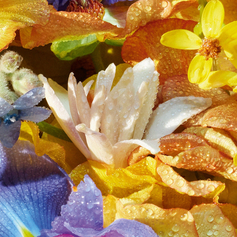 Aqua Allegoria Florabloom EDT - Perfumería First Bolivia