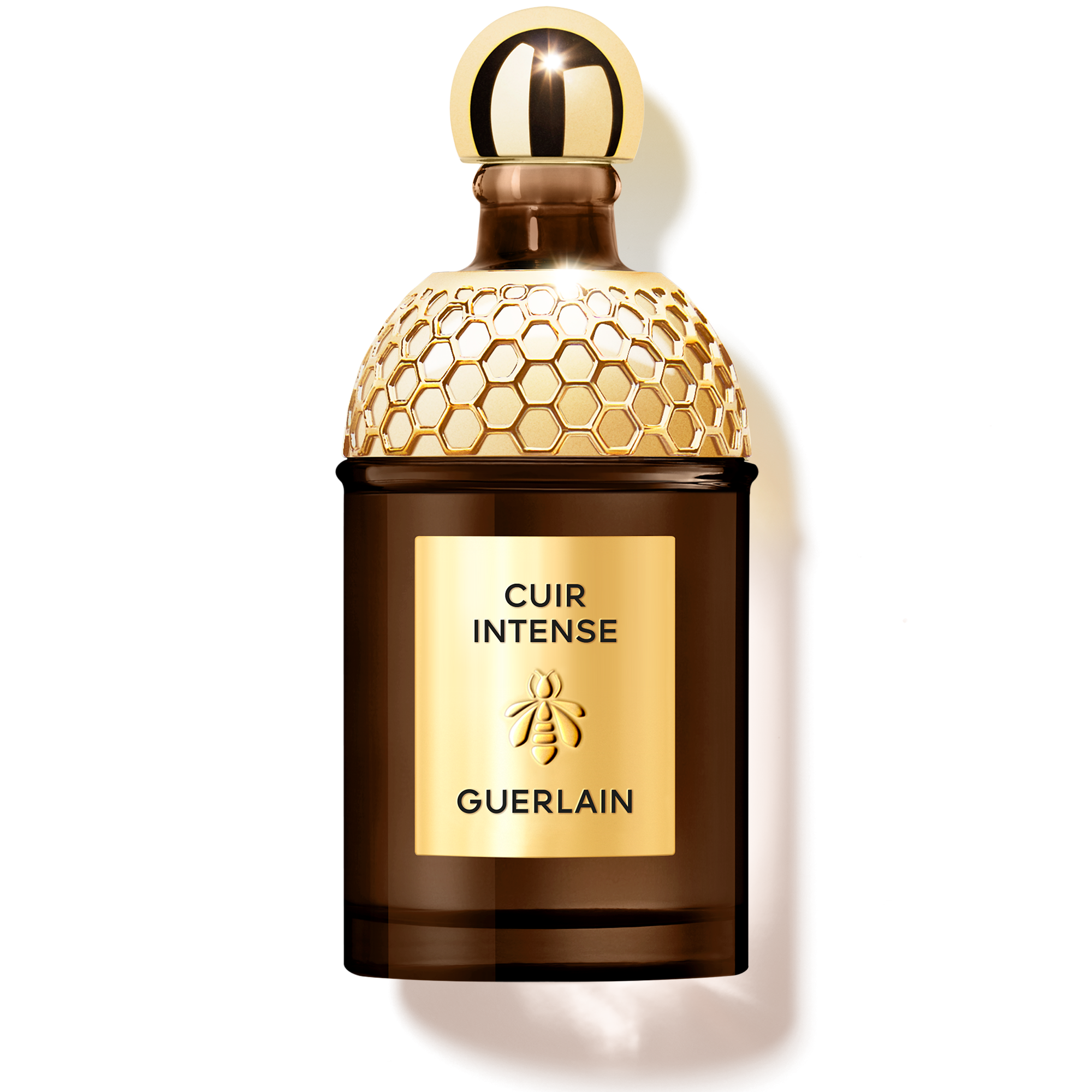 Absolus Allegoria Cuir Intense