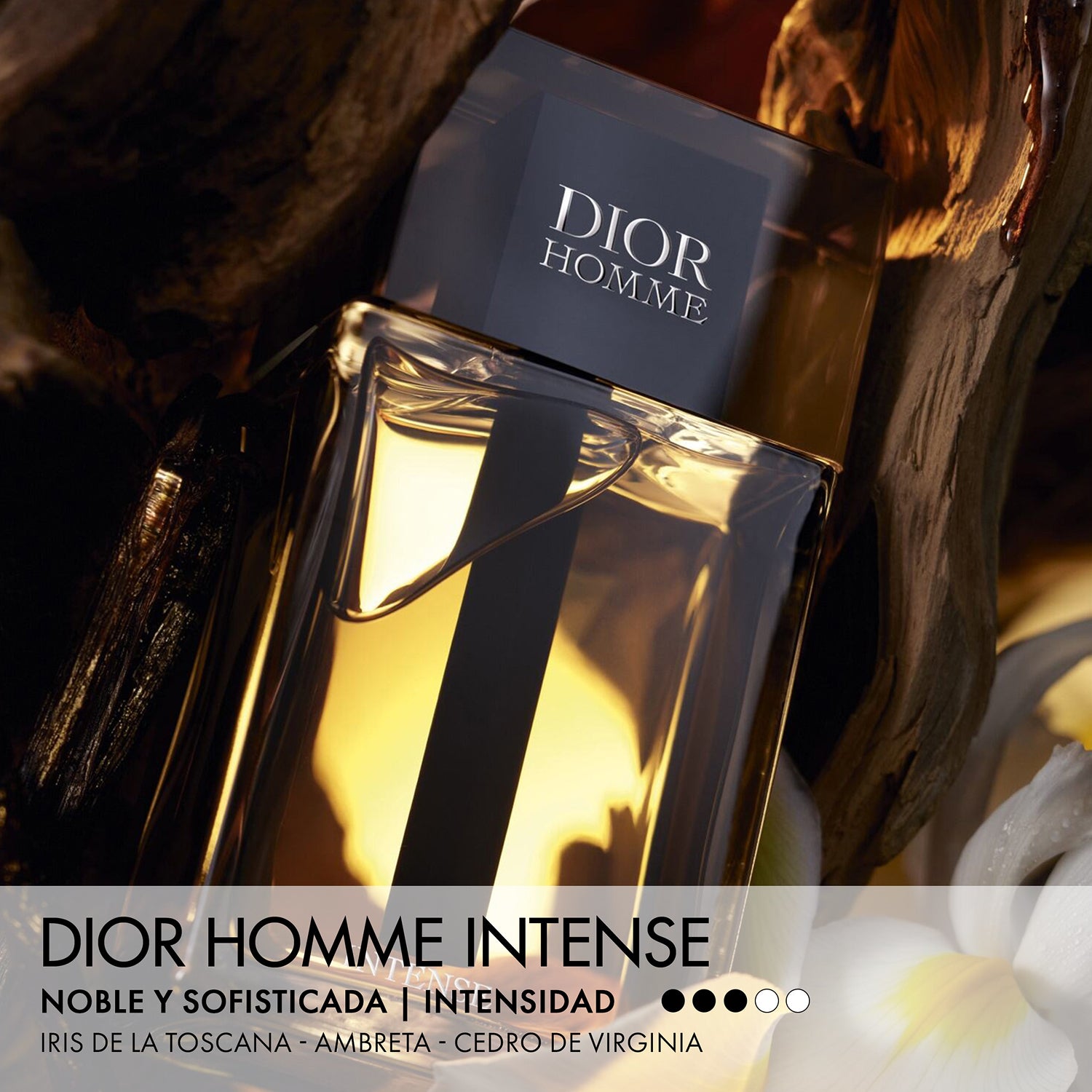 Dior Homme Intense - Perfumería First Bolivia