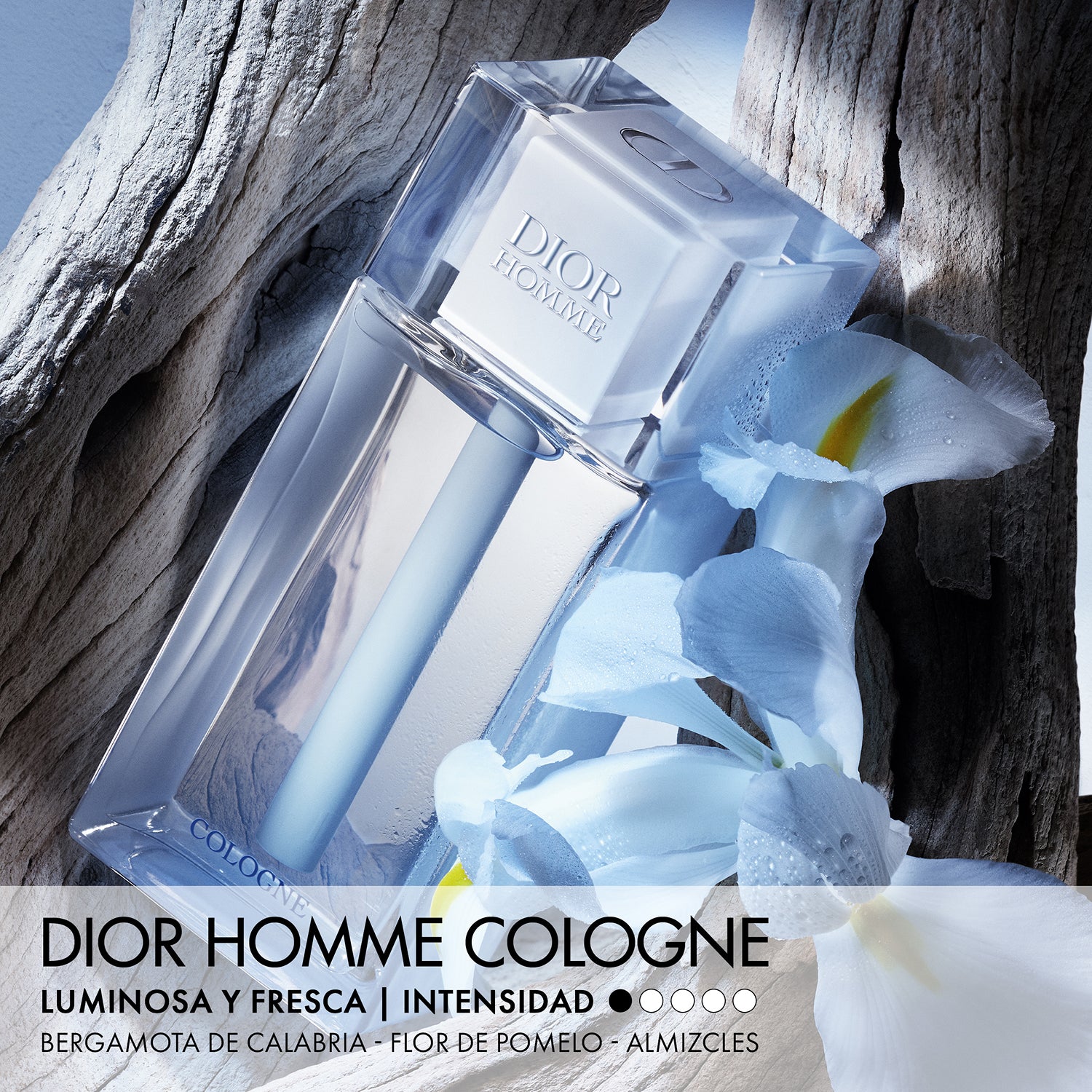 Dior Homme - Perfumería First Bolivia