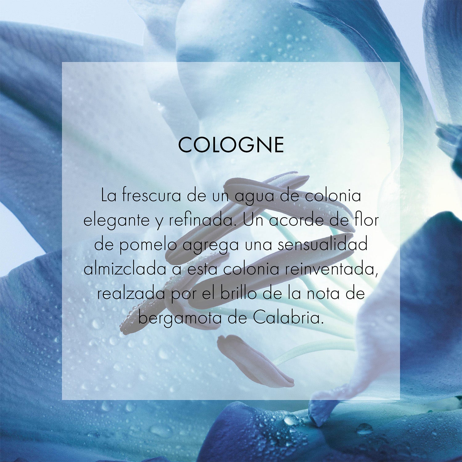 Dior Homme - Perfumería First Bolivia