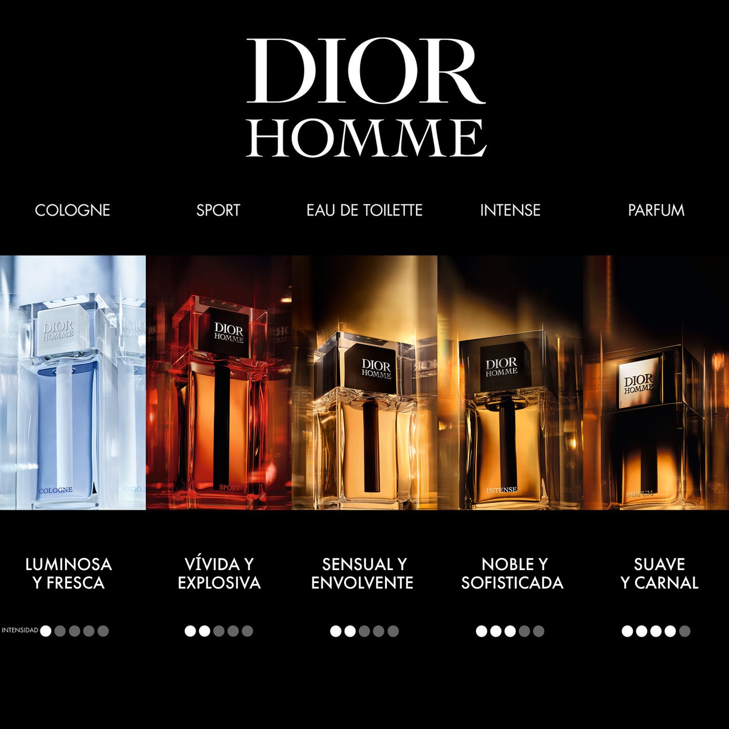 Dior Homme - Perfumería First Bolivia