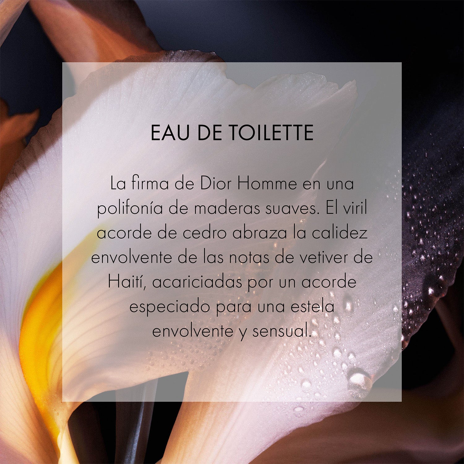 Dior Homme - Perfumería First Bolivia