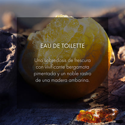 Sauvage Eau de Toilette