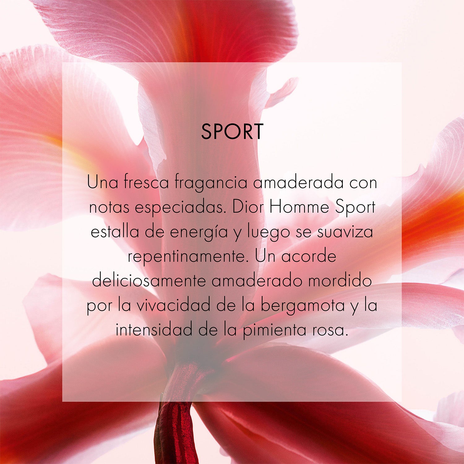 Dior Homme Sport - Perfumería First Bolivia
