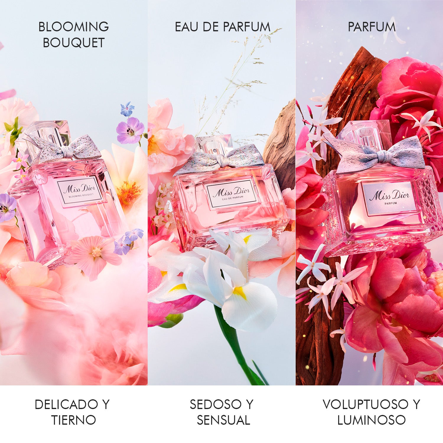 Miss Dior Blooming Bouquet