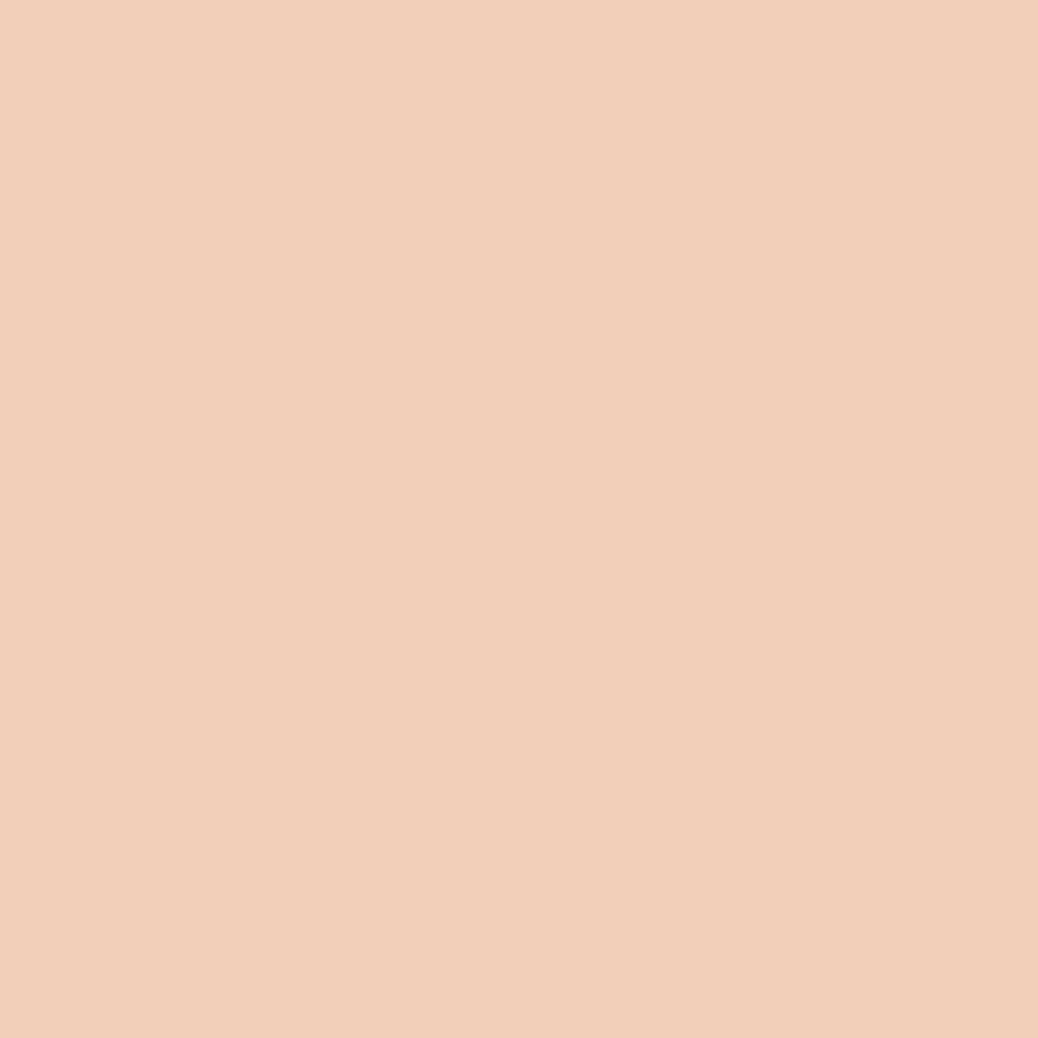 Forever Skin Perfect Foundation Stick