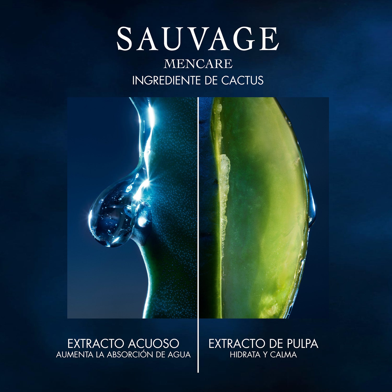 Sauvage La Loción Tonificante