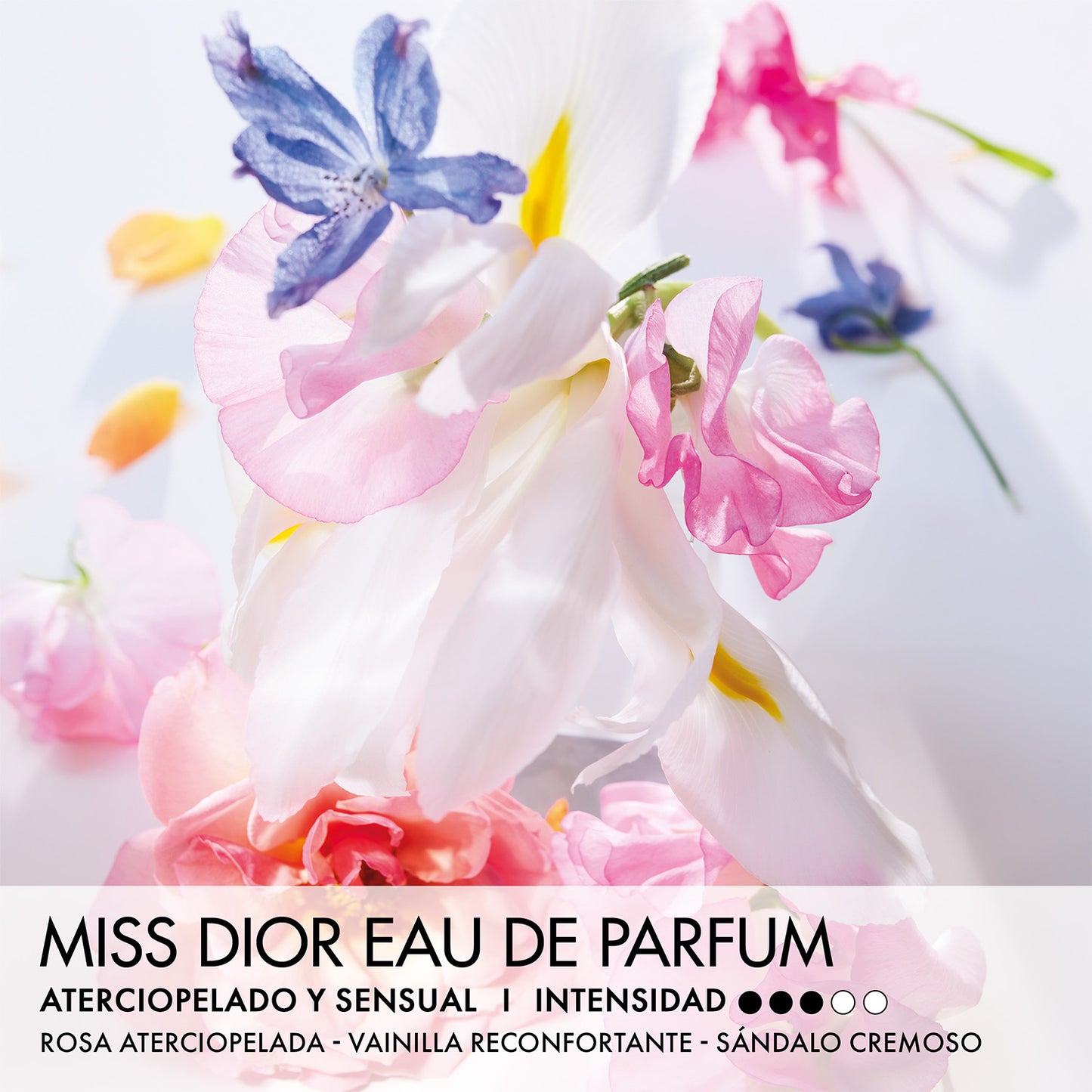 Miss Dior Eau de Parfum Mini Miss Perfume Sólido