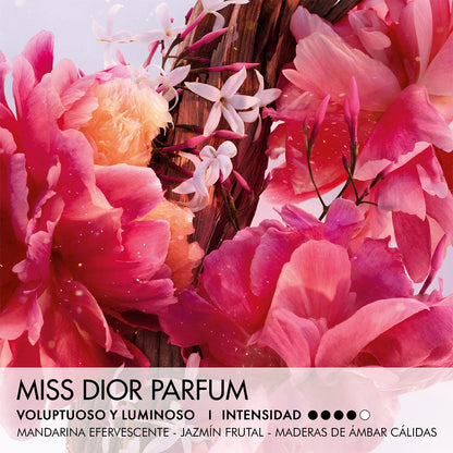 Miss Dior Parfum Mini Miss Perfume Sólido