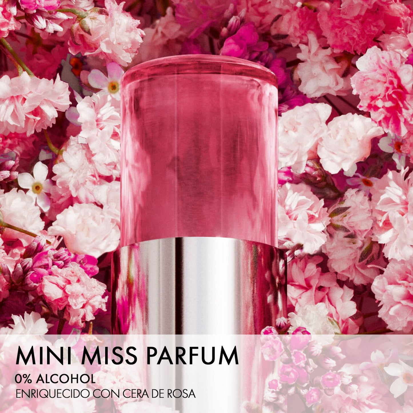 Miss Dior Parfum Mini Miss Perfume Sólido
