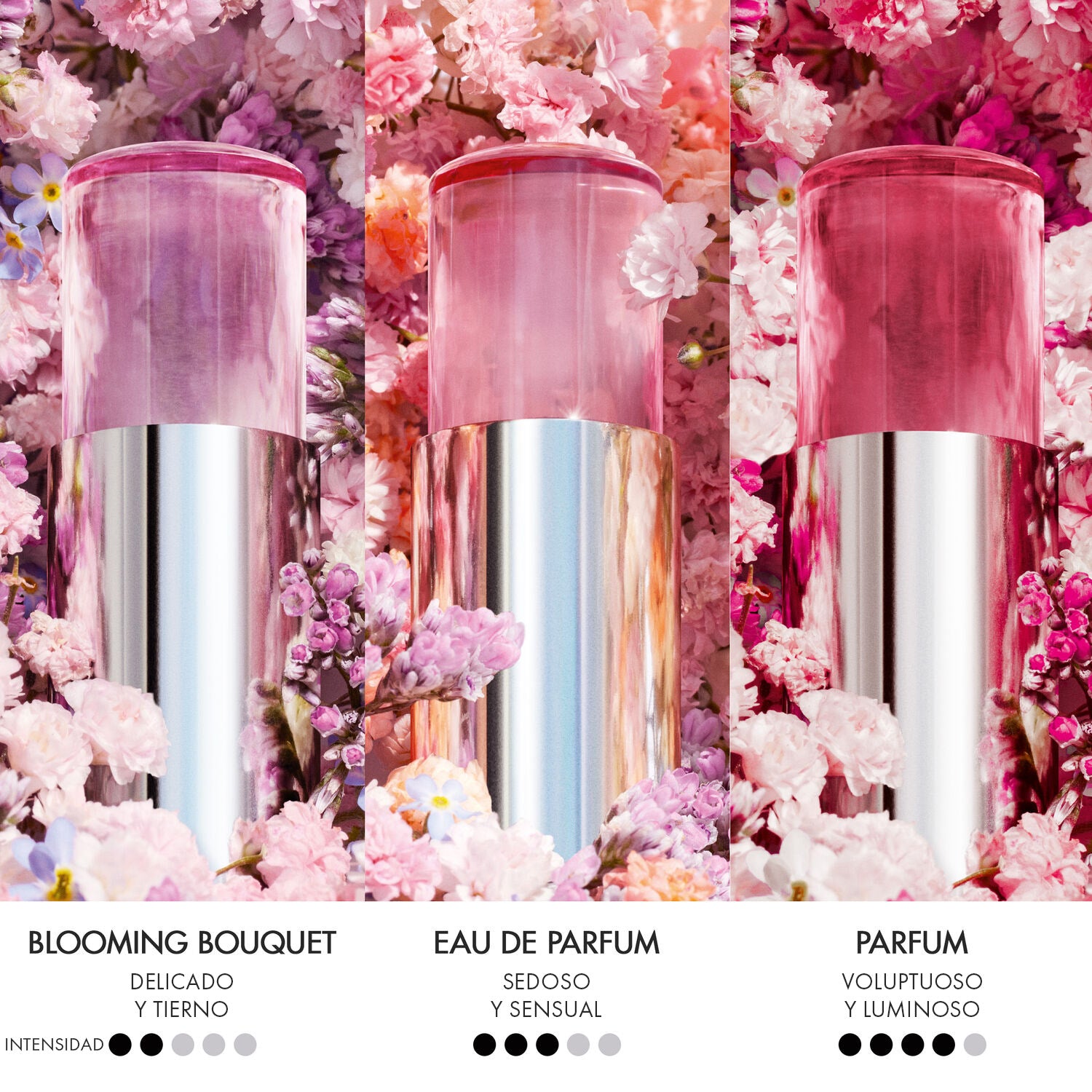 Miss Dior Parfum Mini Miss Perfume Sólido