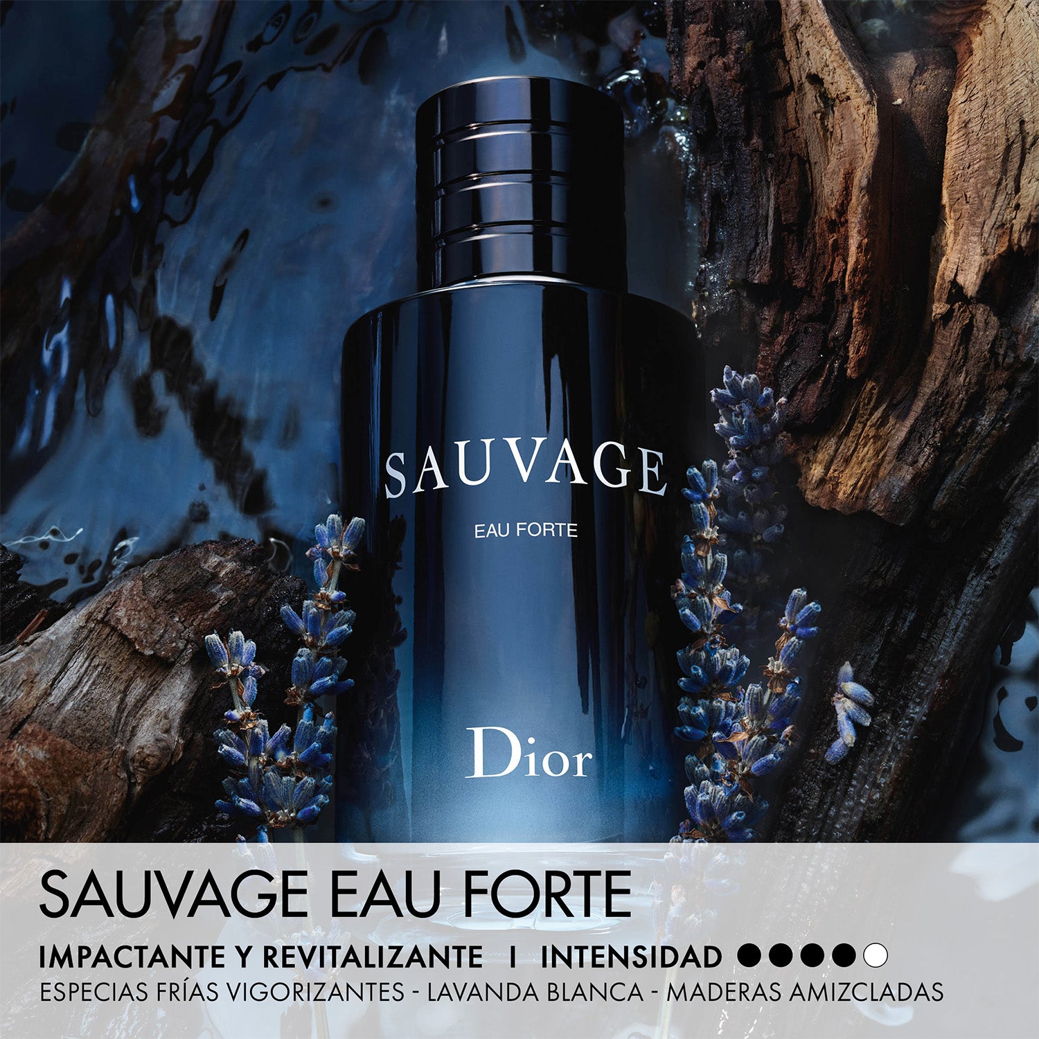 Sauvage Eau Forte