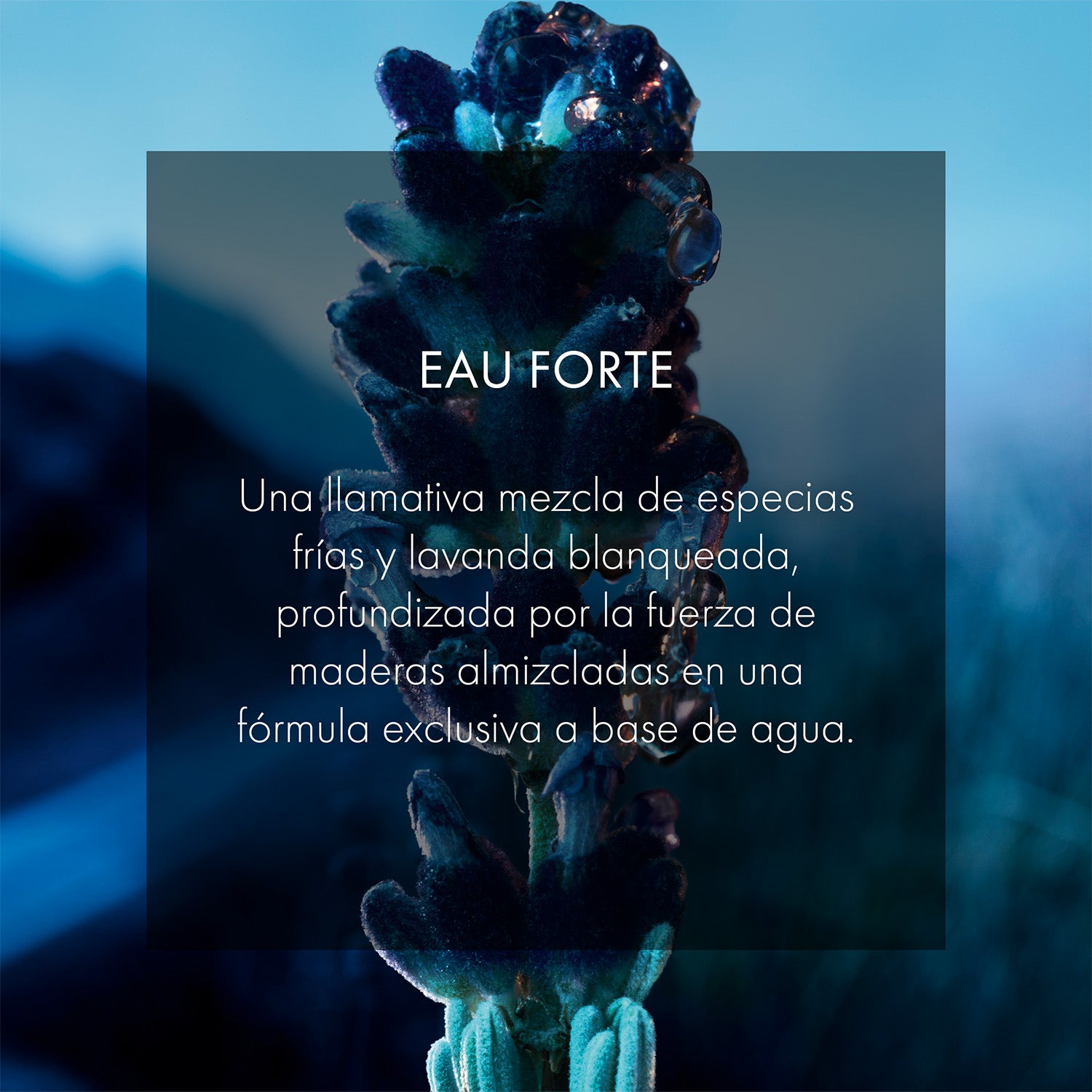 Sauvage Eau Forte