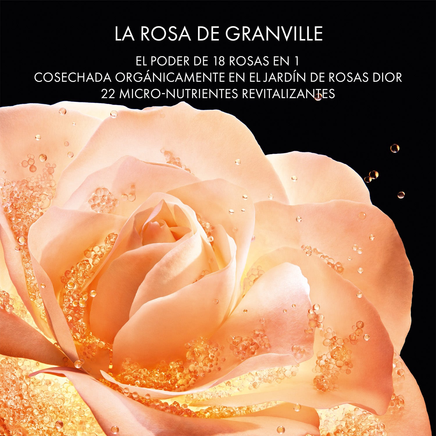 Dior Prestige Le Micro-Sérum de Rose Yeux Activated - Perfumería First Bolivia