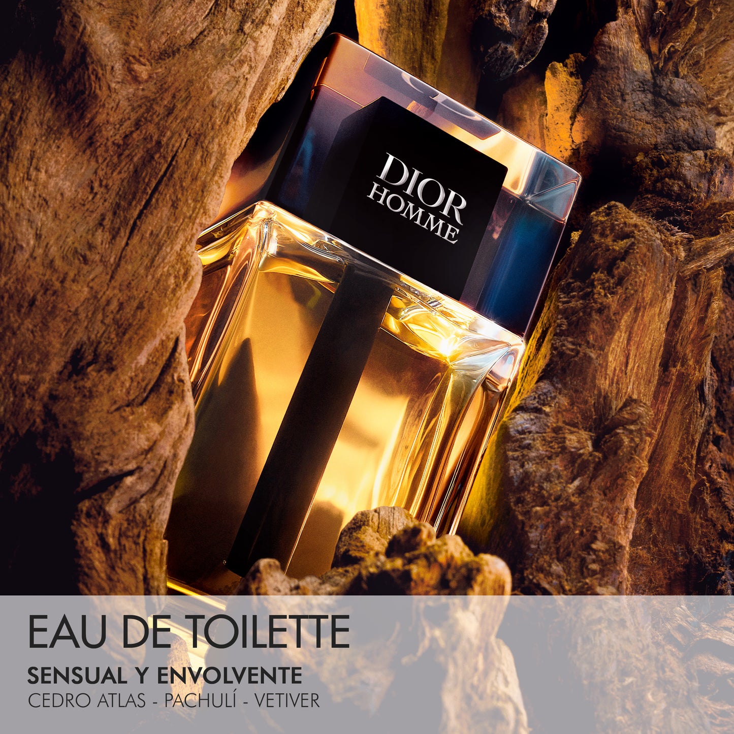 Cofre Dior Homme edición limitada - Perfumería First Bolivia
