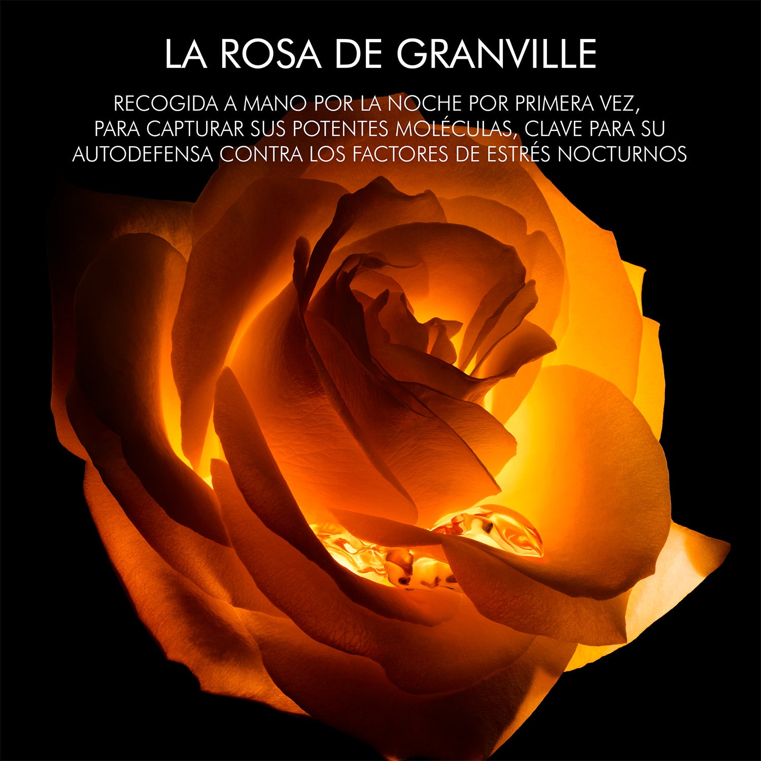 Dior Prestige Le Baume de Minuit