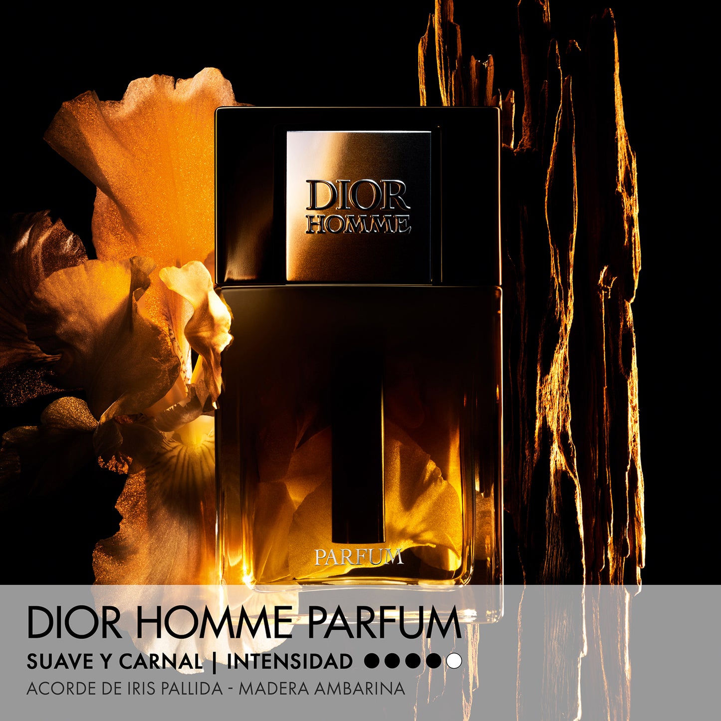 Dior Homme