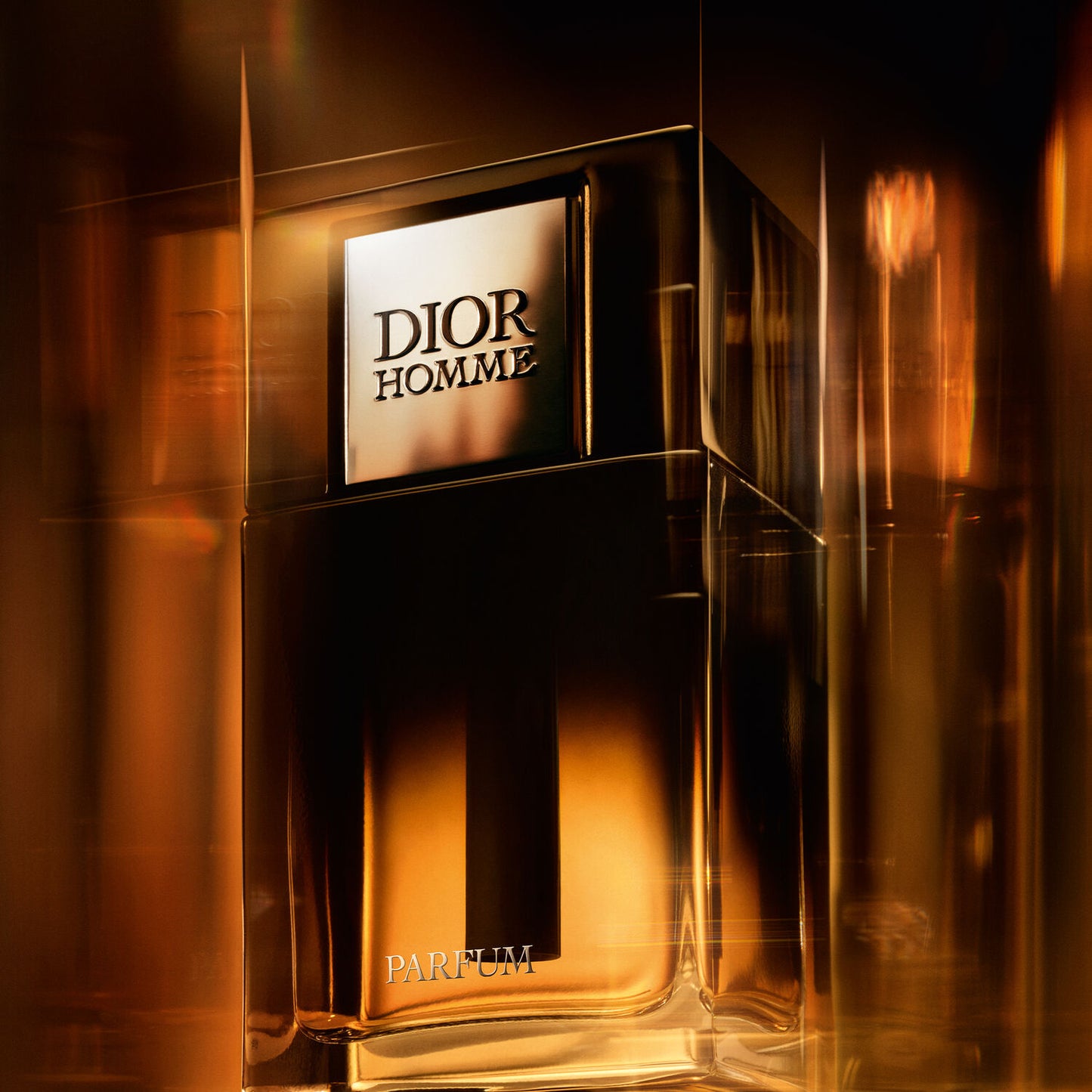 Dior Homme