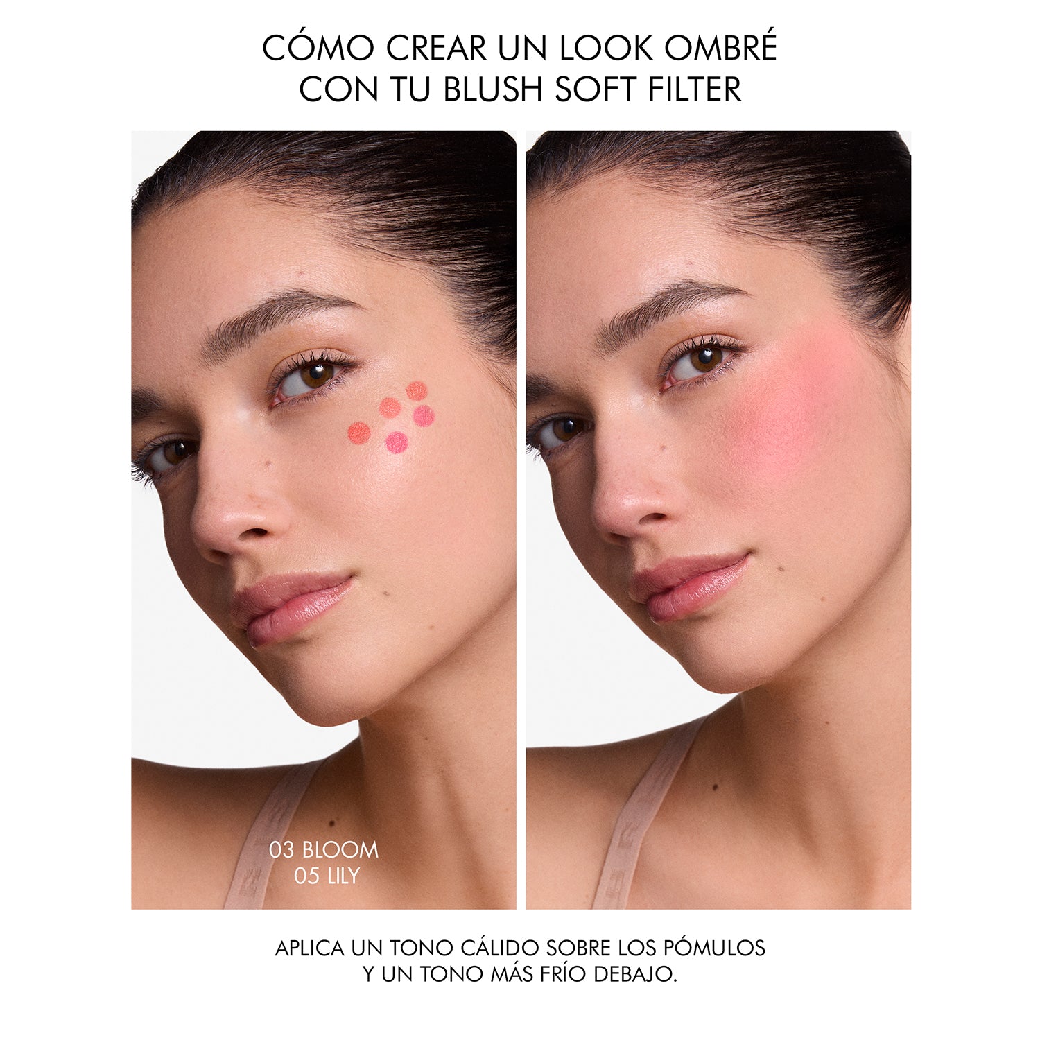 Dior Forever Blush Soft Filter