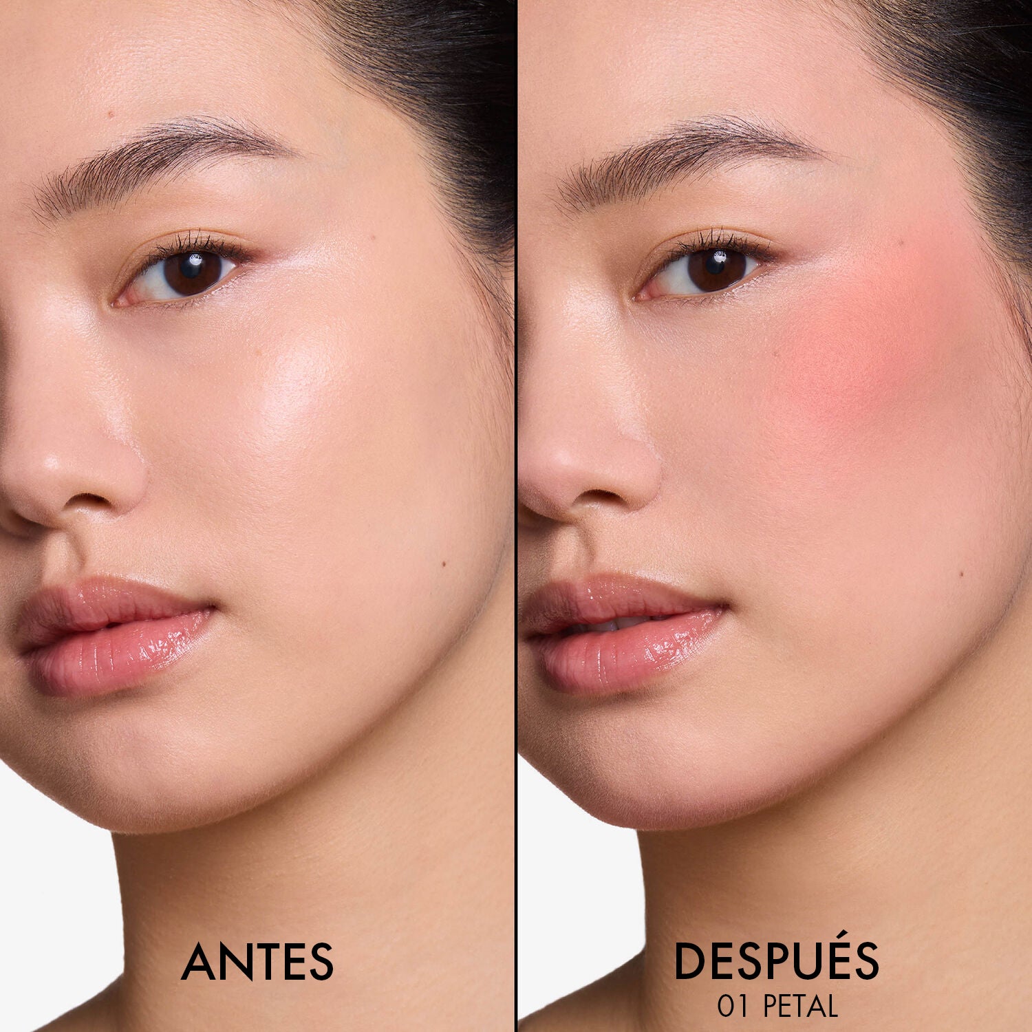 Dior Forever Blush Soft Filter