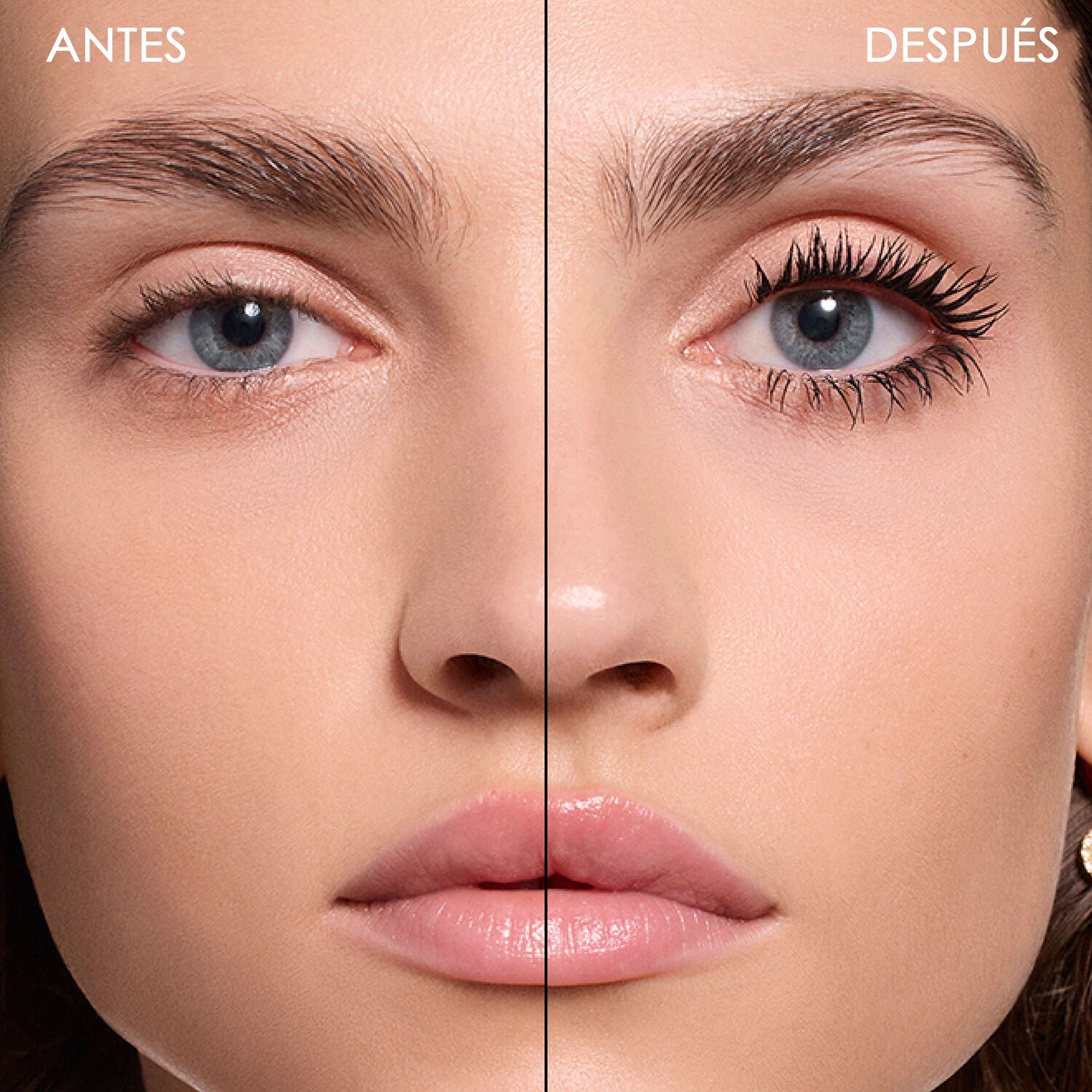 Diorshow Volume And Definition Essentials Set