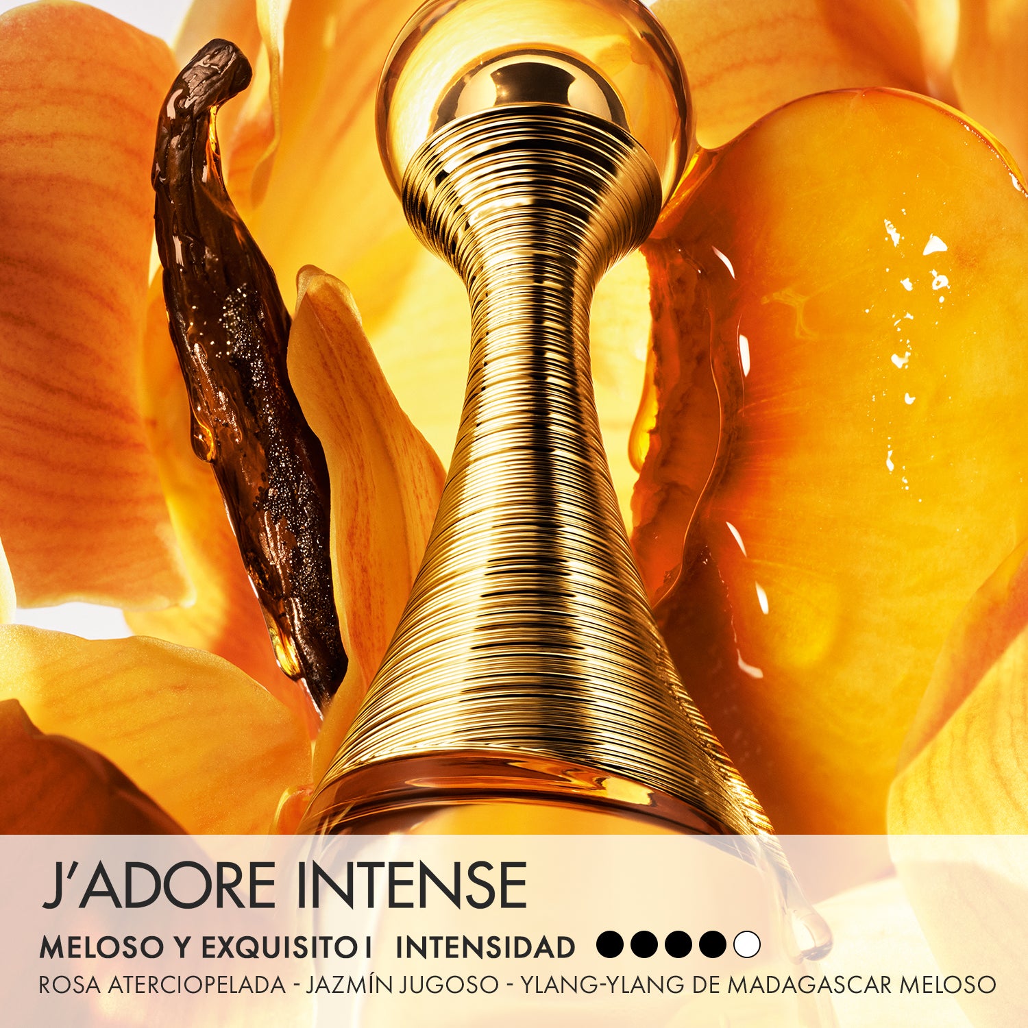 J'adore Intense Parfum