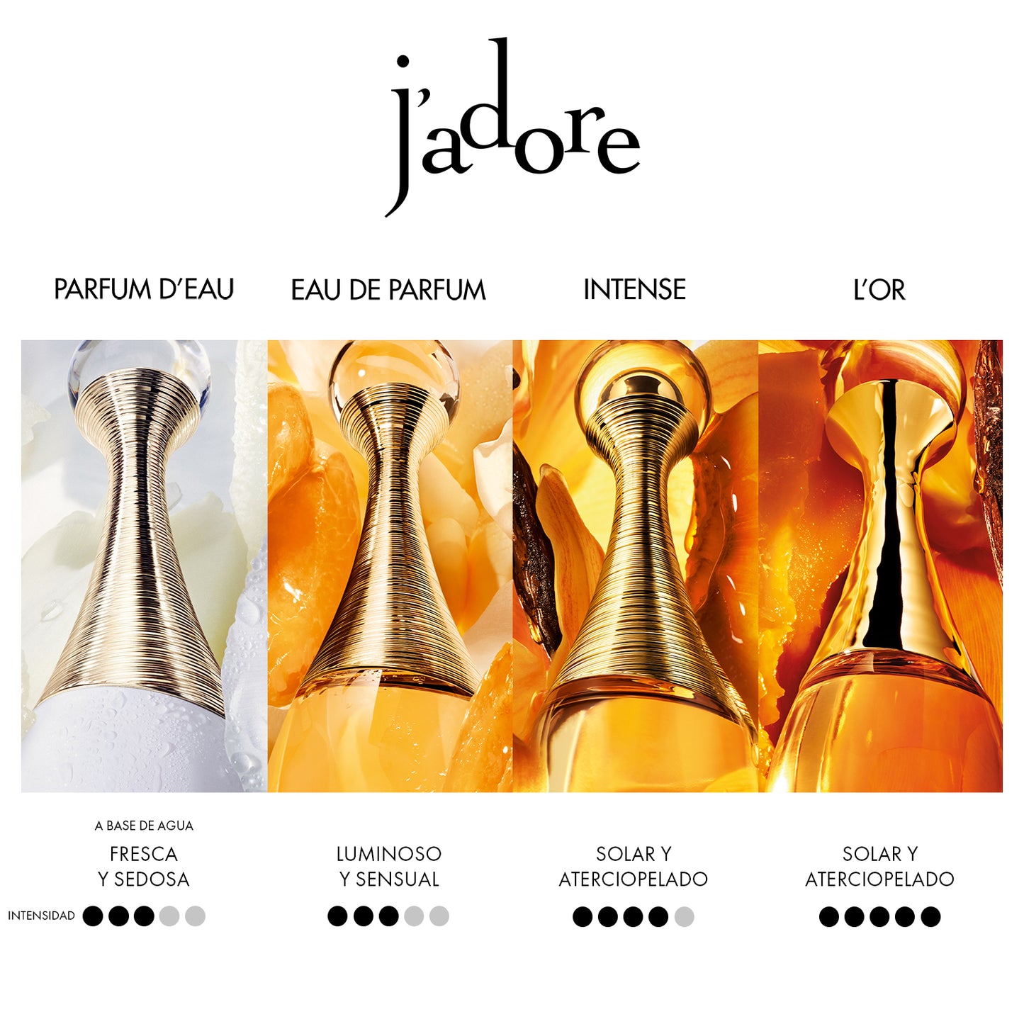 J'adore Intense Parfum