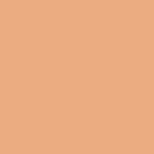 Forever Skinstick Multiuse Foundation Blur Correction 24H