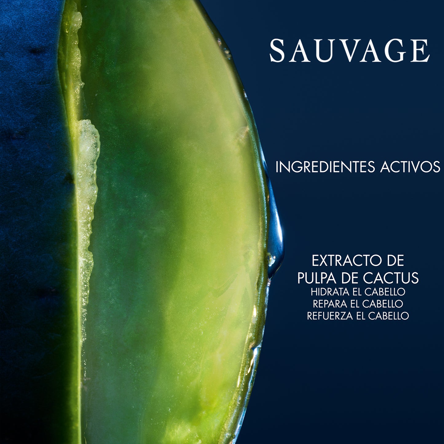 Sauvage Hydrating Shampoo