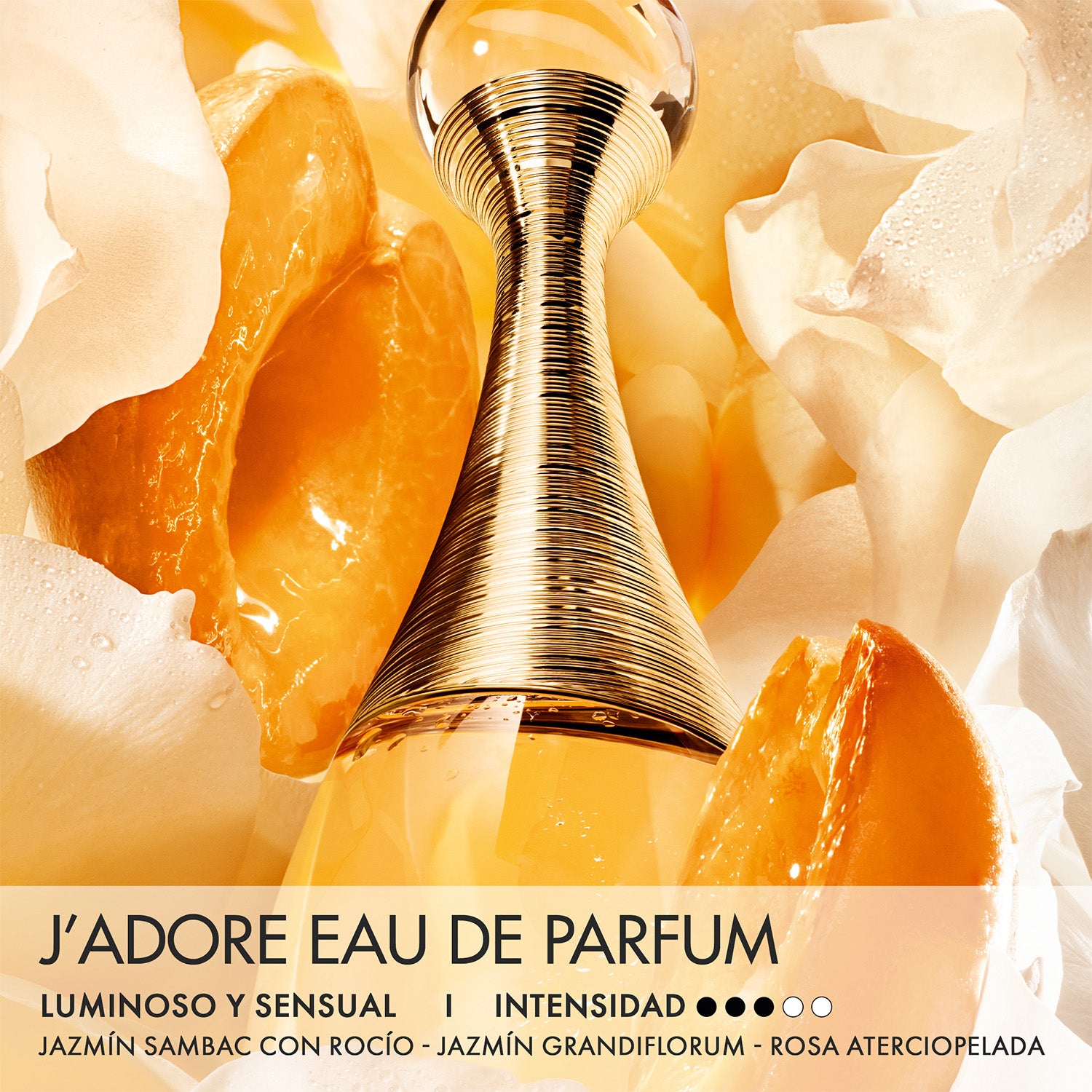 Set Perfume Cofre J'adore