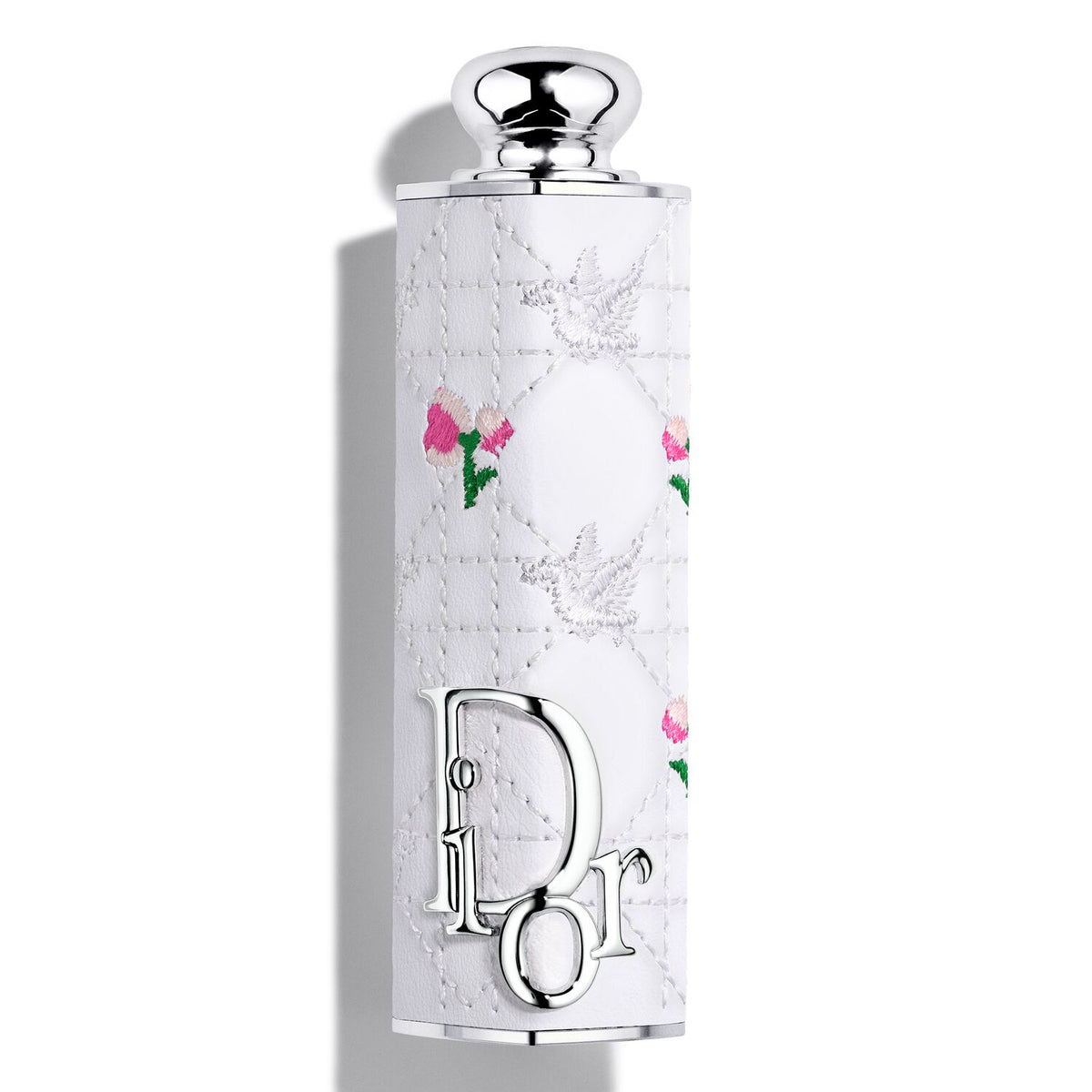 Dior Addict Limited Edition Refillable Case