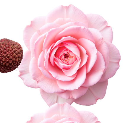 Delina Body Cream