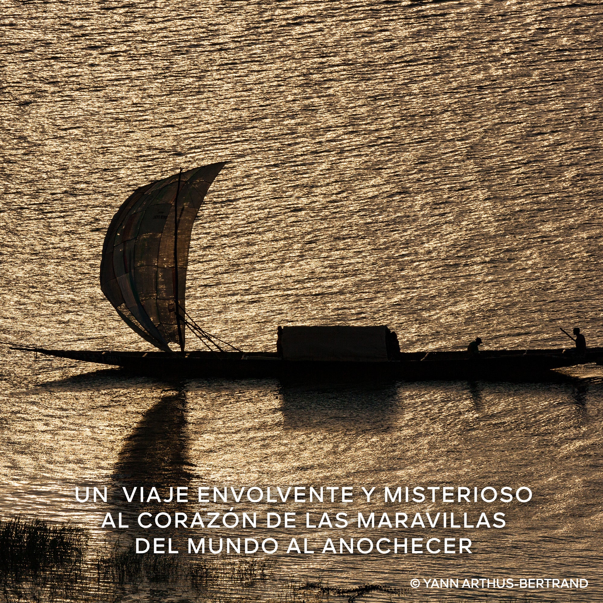 Absolus Allegoria Ambre Samar