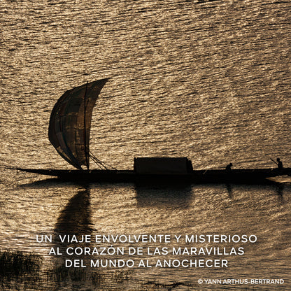 Absolus Allegoria Ambre Samar