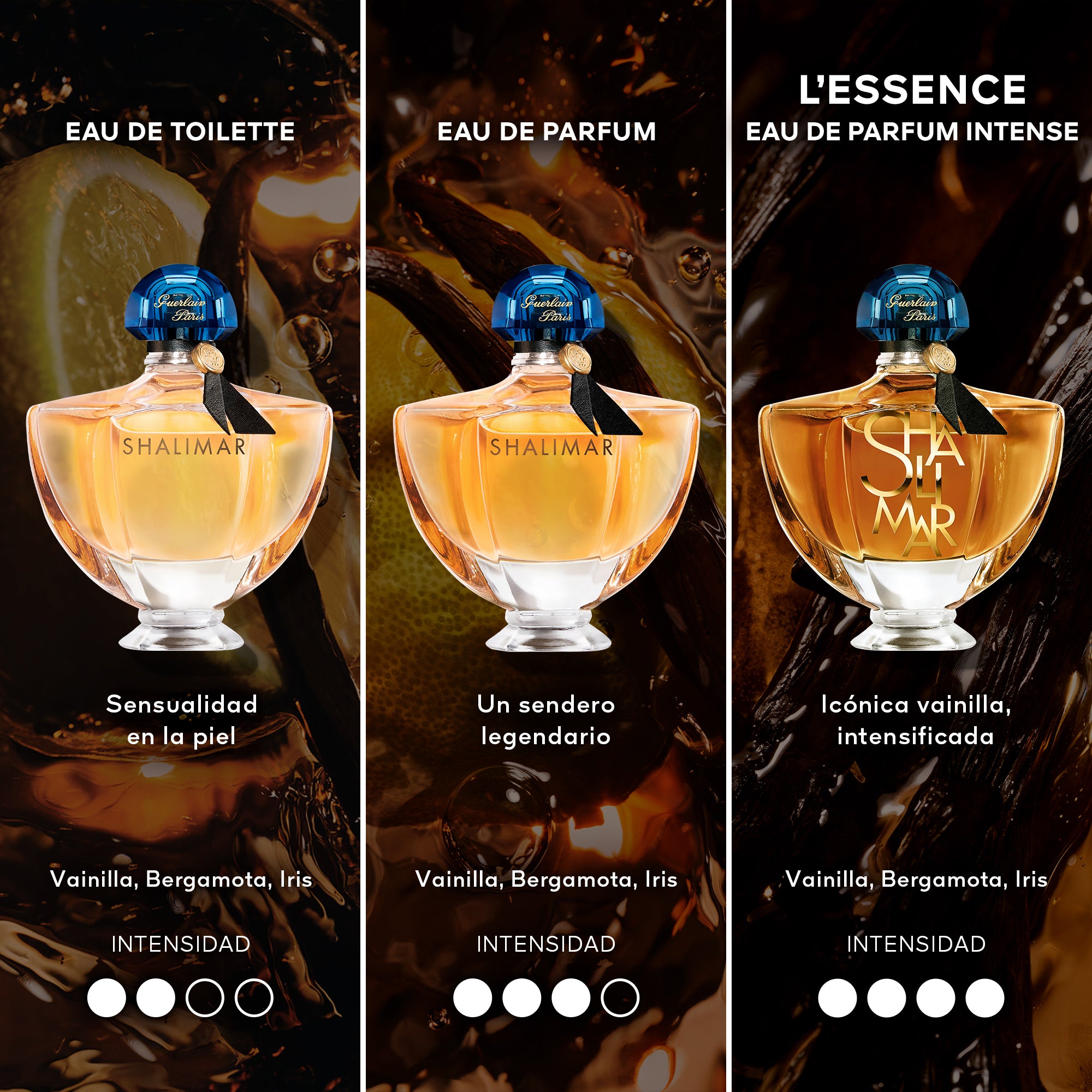 Shalimar Edp Intense