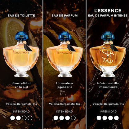 Shalimar Edp Intense